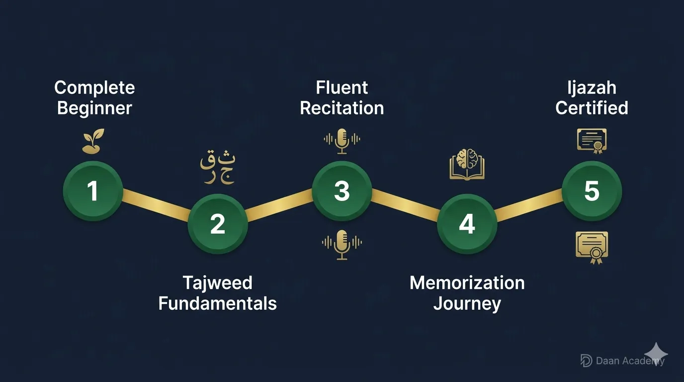 best online tajweed course for adults — complete learning pathway from beginner to Ijazah certification at Daan Academy